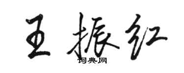骆恒光王振红行书个性签名怎么写