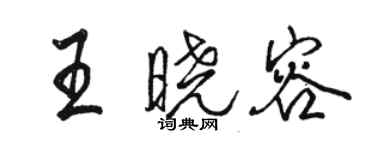 骆恒光王晓容行书个性签名怎么写