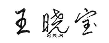 骆恒光王晓宝行书个性签名怎么写