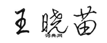 骆恒光王晓苗行书个性签名怎么写