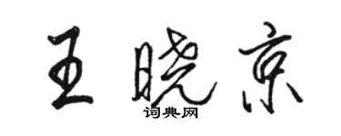 骆恒光王晓京行书个性签名怎么写