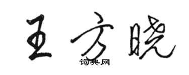 骆恒光王方晓行书个性签名怎么写