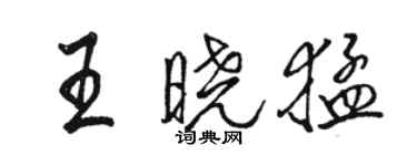 骆恒光王晓猛行书个性签名怎么写