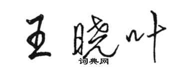 骆恒光王晓叶行书个性签名怎么写