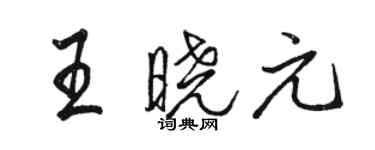 骆恒光王晓元行书个性签名怎么写