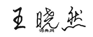 骆恒光王晓然行书个性签名怎么写