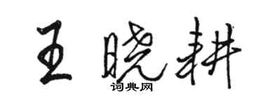 骆恒光王晓耕行书个性签名怎么写
