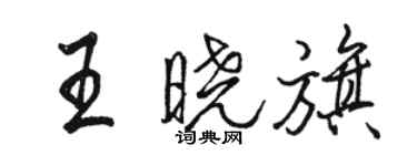 骆恒光王晓旗行书个性签名怎么写
