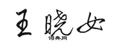 骆恒光王晓女行书个性签名怎么写