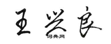 骆恒光王兴良行书个性签名怎么写