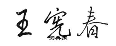 骆恒光王宪春行书个性签名怎么写