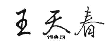 骆恒光王天春行书个性签名怎么写