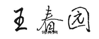 骆恒光王春园行书个性签名怎么写