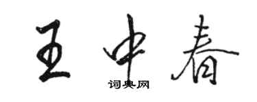 骆恒光王中春行书个性签名怎么写