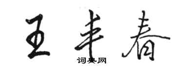 骆恒光王丰春行书个性签名怎么写