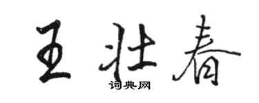 骆恒光王壮春行书个性签名怎么写