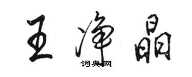 骆恒光王净晶行书个性签名怎么写