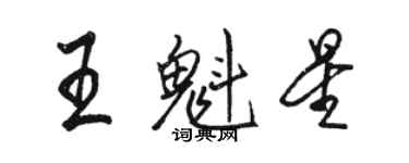 骆恒光王魁星行书个性签名怎么写