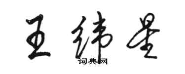 骆恒光王纬星行书个性签名怎么写