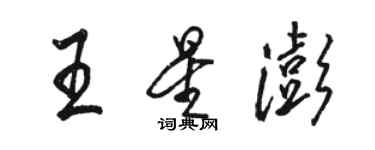 骆恒光王星澎行书个性签名怎么写