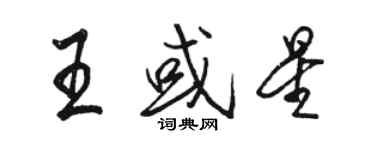 骆恒光王或星行书个性签名怎么写