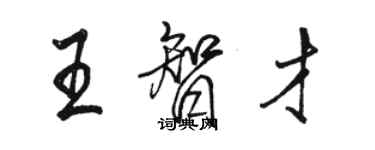 骆恒光王智才行书个性签名怎么写