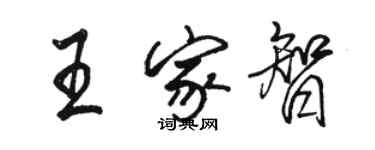 骆恒光王家智行书个性签名怎么写