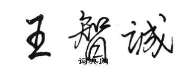 骆恒光王智诚行书个性签名怎么写