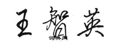 骆恒光王智英行书个性签名怎么写