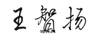 骆恒光王智扬行书个性签名怎么写