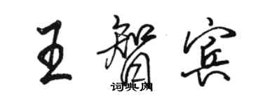 骆恒光王智宾行书个性签名怎么写