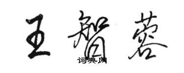 骆恒光王智蓉行书个性签名怎么写