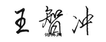 骆恒光王智冲行书个性签名怎么写