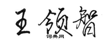 骆恒光王领智行书个性签名怎么写