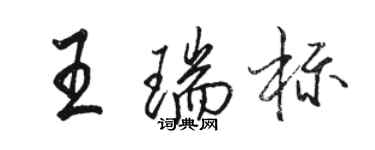 骆恒光王瑞标行书个性签名怎么写