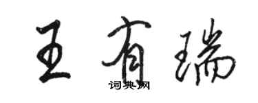 骆恒光王有瑞行书个性签名怎么写