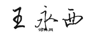 骆恒光王永西行书个性签名怎么写