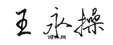 骆恒光王永操行书个性签名怎么写