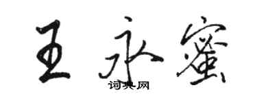 骆恒光王永蜜行书个性签名怎么写