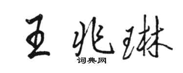 骆恒光王兆琳行书个性签名怎么写