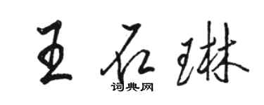 骆恒光王石琳行书个性签名怎么写