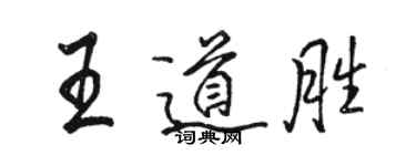 骆恒光王道胜行书个性签名怎么写
