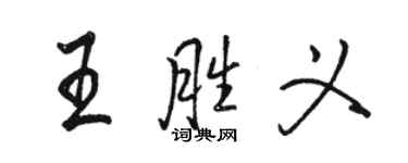 骆恒光王胜义行书个性签名怎么写