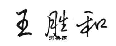 骆恒光王胜和行书个性签名怎么写