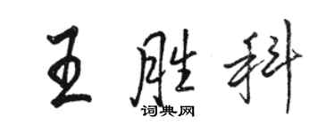 骆恒光王胜科行书个性签名怎么写