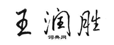 骆恒光王润胜行书个性签名怎么写