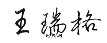 骆恒光王瑞格行书个性签名怎么写