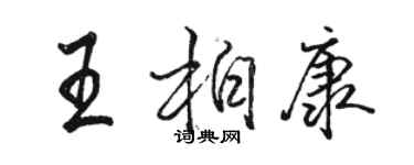 骆恒光王柏康行书个性签名怎么写