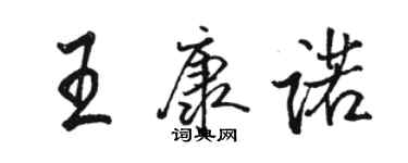 骆恒光王康诺行书个性签名怎么写