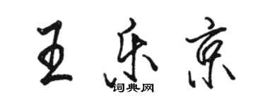 骆恒光王乐京行书个性签名怎么写